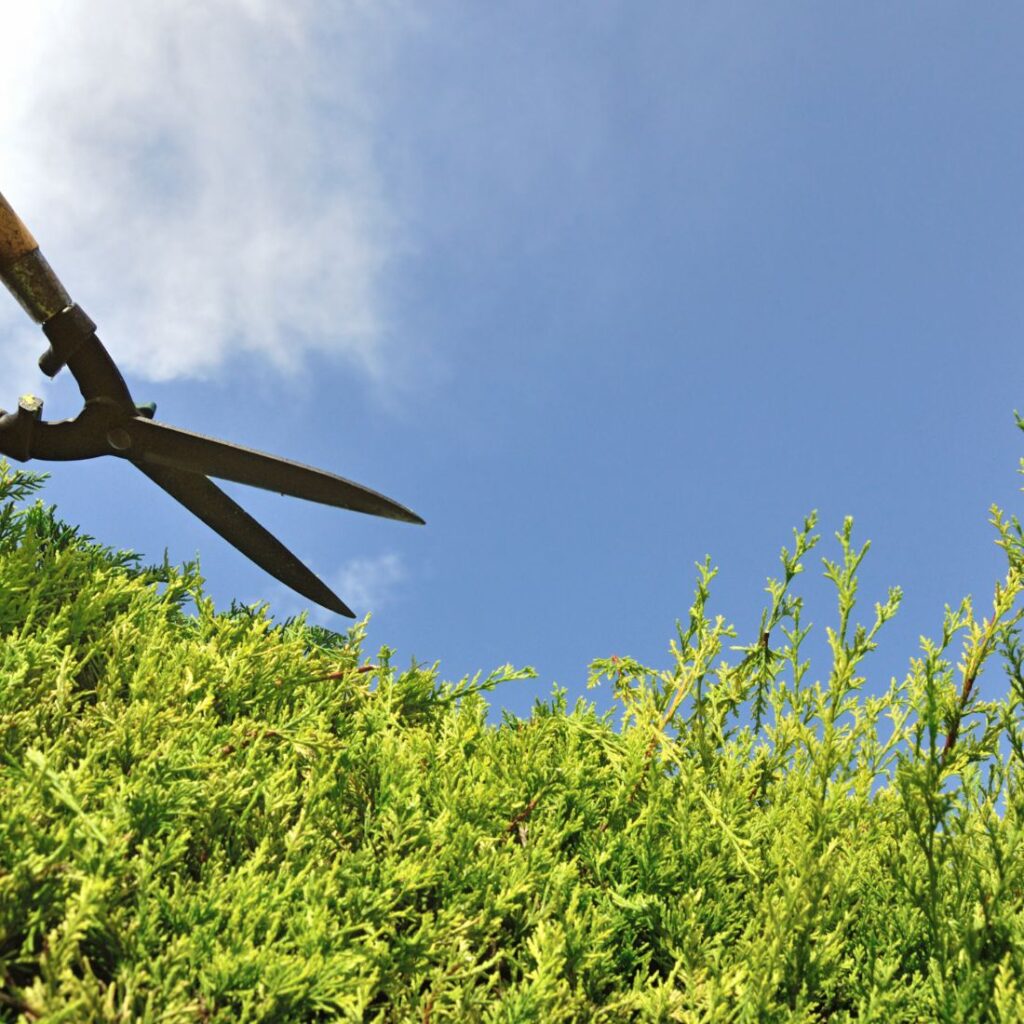 Hausprofi Aachen - Hausmeisterservice - Gartenpflege - Kleinreparaturen - Winterdienst